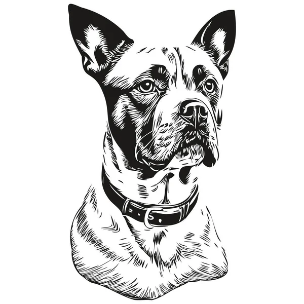 Staffordshire Bull Terrier Anjing Vektor Grafis Gambar Tangan Pensil Garis - Stok Vektor