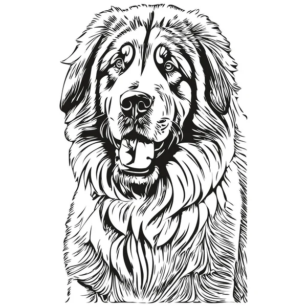 チベットのマスチフ犬の品種の線画 クリップアート動物の手の描画ベクトル黒と白の現実的な品種のペット — ストックベクタ