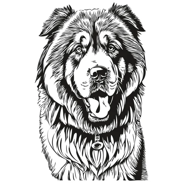 Mastiff Tibétain Chien Dessin Animé Visage Encre Portrait Dessin Croquis — Image vectorielle
