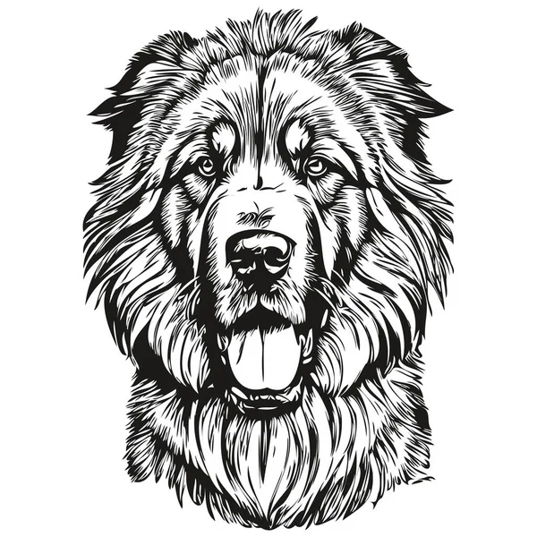 Tibetan Mastiff Dog Face Vector Portrait Funny Outline Pet Illustration — Stock Vector