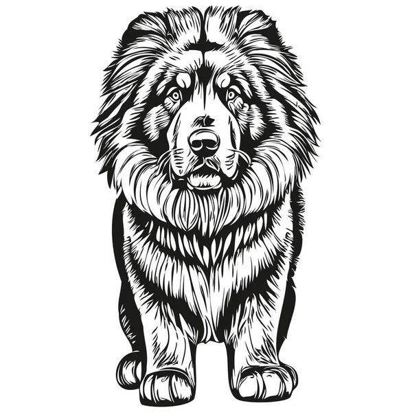 Tibetan Mastiff Dog Hand Drawn Logo Drawing Black White Line — Stock Vector