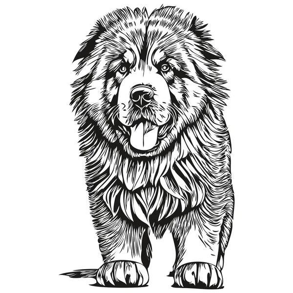 Tibetaanse Mastiff Hond Met Hand Getekend Logo Tekening Zwart Wit — Stockvector