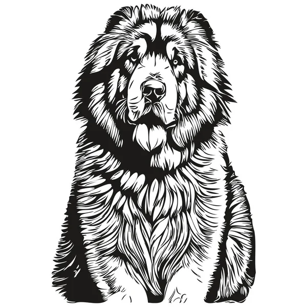 Tibetan Mastiff Dog Ink Sketch Drawing Vintage Tattoo Shirt Print — Stock Vector