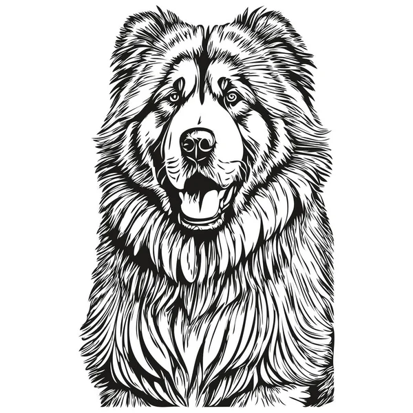 Mastiff Tibetano Perro Aislado Dibujo Sobre Fondo Blanco Cabeza Mascota — Archivo Imágenes Vectoriales