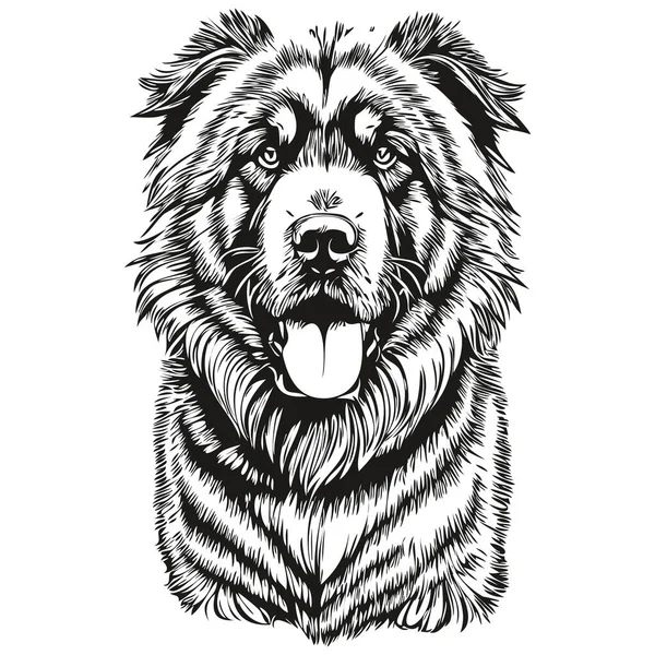 Tibetský Mastiff Pes Linie Ilustrace Černá Bílá Inkoust Skica Tvář — Stockový vektor