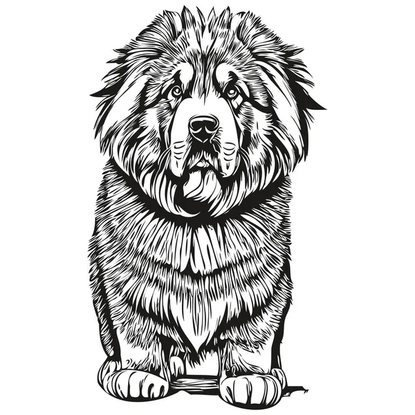 Línea Tibetana Mastiff Perro Ilustración Retrato Cara Boceto Tinta Blanco — Vector de stock