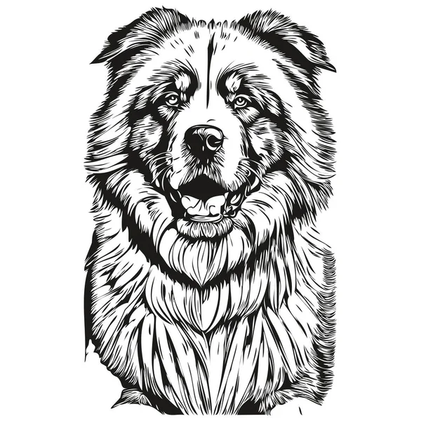 Тибетская Собака Мастиф Набросок Карандаша Рисунок Черный Символ Белом Фоне — стоковый вектор