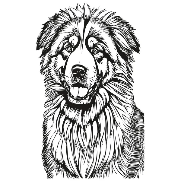 チベットマスチフ犬鉛筆手描きベクトル アウトラインイラストペットの顔のロゴ黒と白の現実的な品種のペット — ストックベクタ