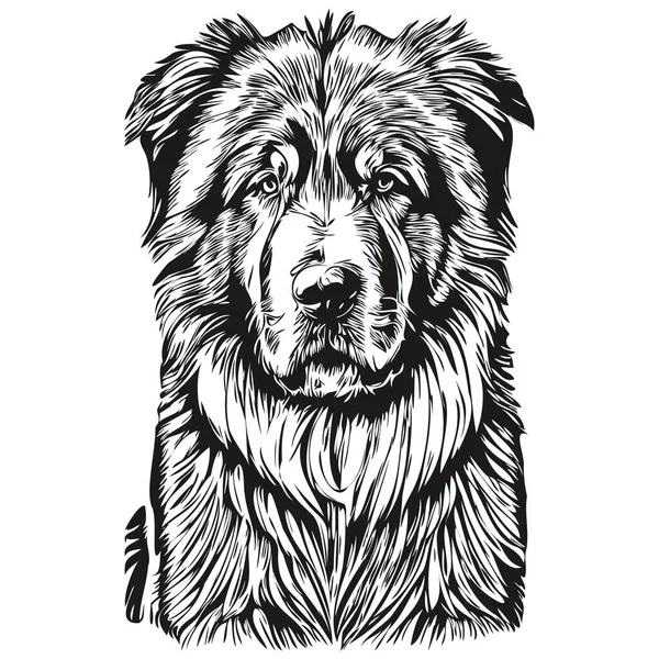 矢量藏式马什蒂夫犬肖像画 纹身用的动物手绘或用于纹身或T恤衫印花图解逼真品种宠物 — 图库矢量图片