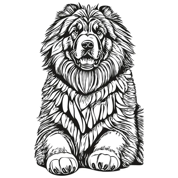 Dibujo Tibetano Mastiff Perro Mascota Ilustración Grabado Blanco Negro Vector — Vector de stock