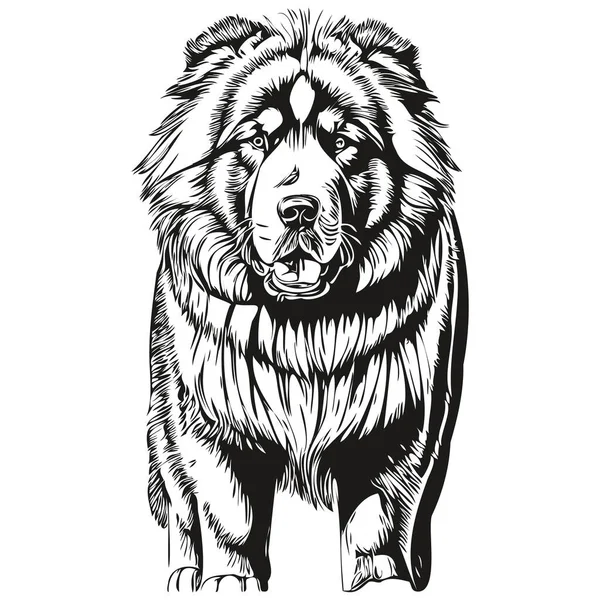 チベットマスチフ犬のペットのシルエット 動物の行のイラストの手を黒と白のベクトルを描いた — ストックベクタ
