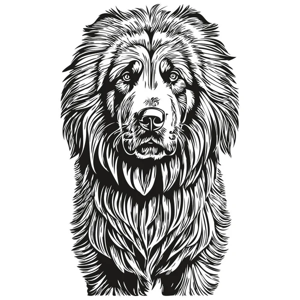 Tibetan Mastiff Dog Realistic Pet Illustration Hand Drawing Face Black — Stock Vector