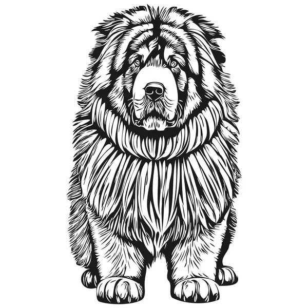 藏族马什蒂夫犬的人物形象 剪接艺术载体宠物画黑白逼真品种宠物 — 图库矢量图片