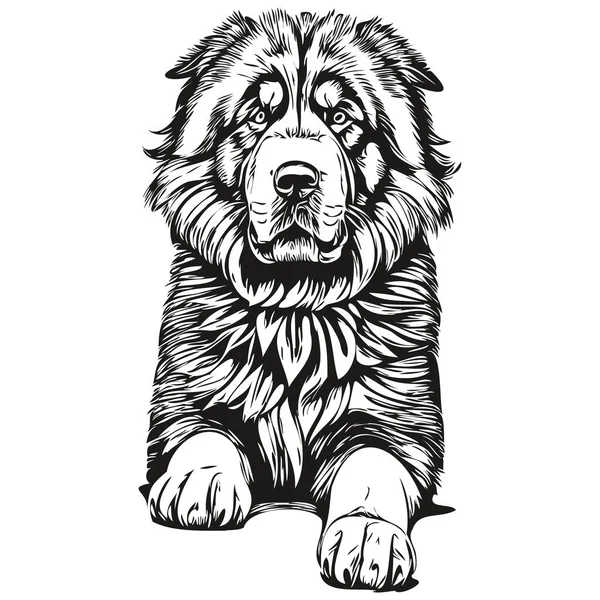 Tibetano Mastiff Perro Silueta Mascota Carácter Clip Arte Vector Mascotas — Vector de stock