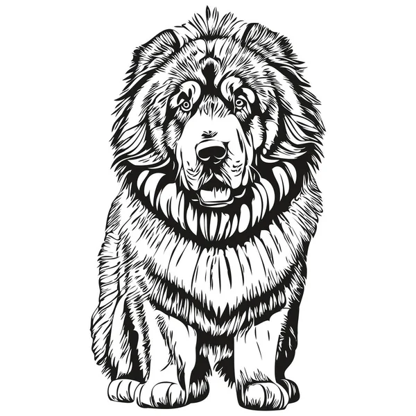 Тибетская Собака Мастиф Футболка Отпечаток Черно Белый Милый Смешной Очертания — стоковый вектор