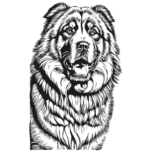 Тибетская Собака Мастиф Футболка Отпечаток Черно Белый Милый Смешной Контур — стоковый вектор
