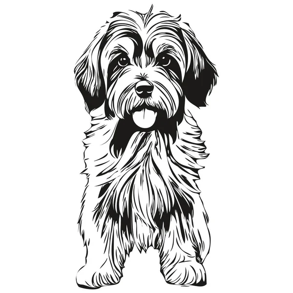 Chien Terrier Tibétain Vecteur Dessin Noir Peinture Faciale Isolée Esquisse — Image vectorielle