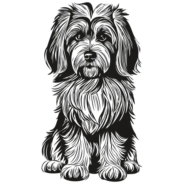 チベットのテリア犬の品種線画 クリップアート動物の手の描画ベクトル黒と白の現実的な品種のペット — ストックベクタ