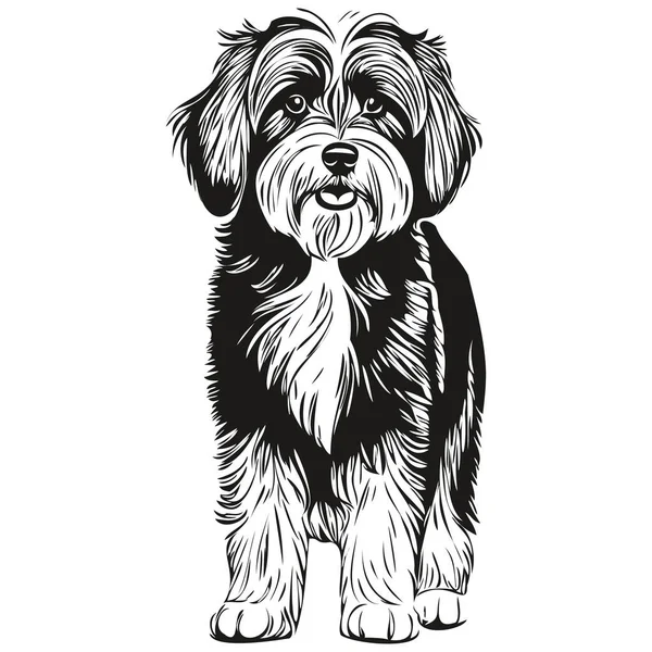 チベットのテリア犬漫画の顔インクの肖像画 黒と白のスケッチの描画 Tシャツのプリント — ストックベクタ