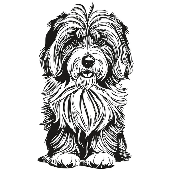 Desenho Esboço Tinta Cão Terrier Tibetano Tatuagem Vintage Shirt Imprimir — Vetor de Stock