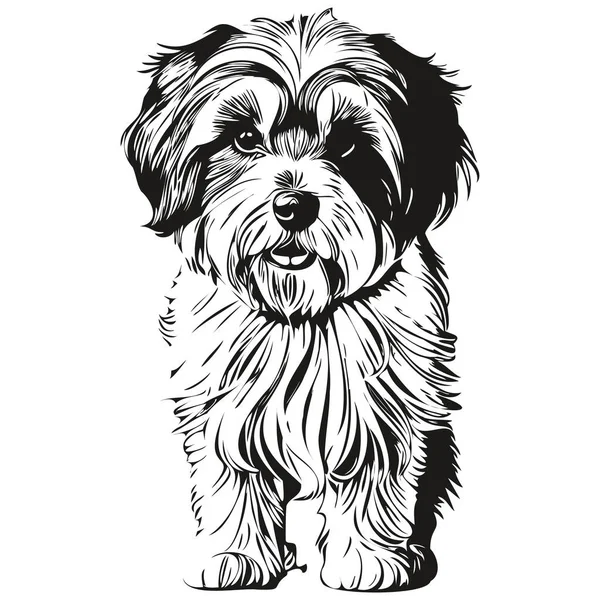 チベットのテリア犬のロゴベクトル黒と白 ヴィンテージかわいい犬の頭が刻まれた — ストックベクタ