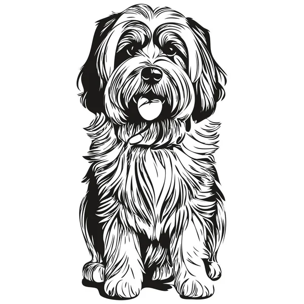 Tibetan Terrier Dog Line Illustration Black White Ink Sketch Face — Stock Vector