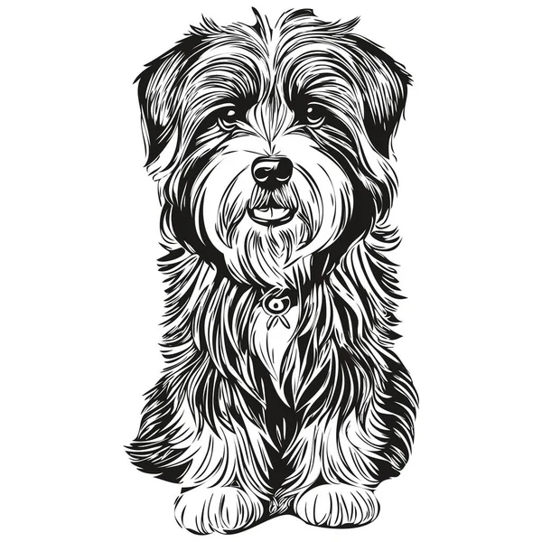 Tibetan Terrier Dog Outline Pencil Drawing Artwork Black Character White — Stock Vector