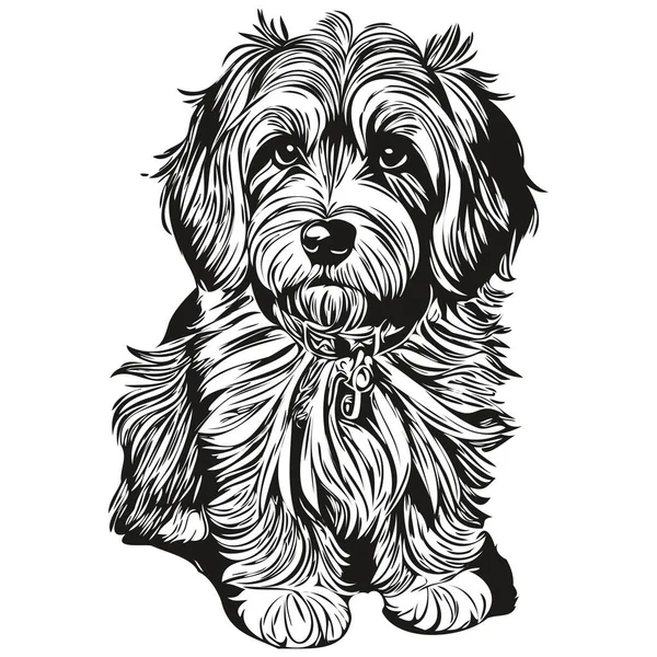 Tibétain Terrier Chien Logo Vecteur Noir Blanc Vintage Tête Chien — Image vectorielle