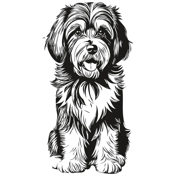 Tibet Terrier Hundeporträt Vektor Tierhandzeichnung Für Tätowierung Oder Shirt Print — Stockvektor