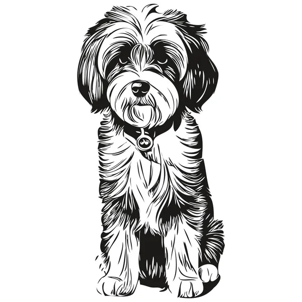 Croquis Pour Chien Terrier Tibétain Illustration Vecteur Gravure Noir Blanc — Image vectorielle