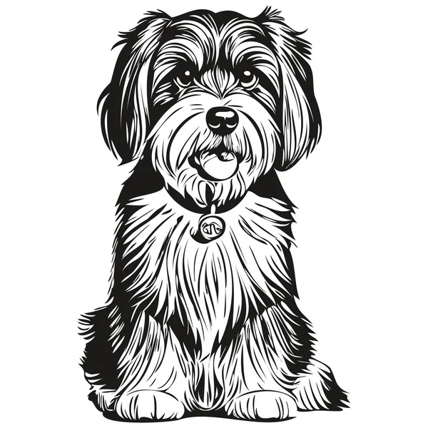 Tibetano Terrier Cão Pet Silhueta Animal Linha Ilustração Mão Desenhado —  Vetores de Stock