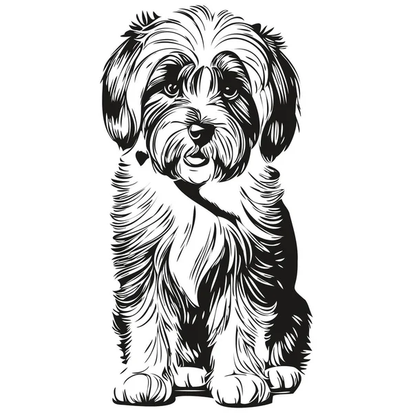 หมาเทอร เบต เอทส ภาพวาดเส เวกเตอร าและส ขาววาดด วยม — ภาพเวกเตอร์สต็อก
