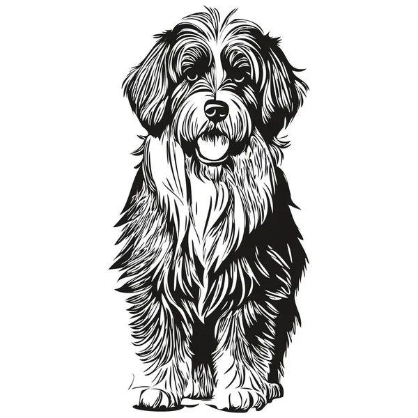 Tibétain Terrier Chien Vecteur Visage Portrait Dessin Croquis Style Vintage — Image vectorielle