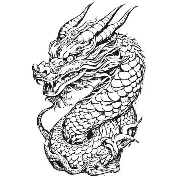 Dragon Vintage Gravür ve El Çizimi Yılı, siyah beyaz izole edilmiş vektör mürekkebi tebrik kartı, poster, davetiye, logo şablonu