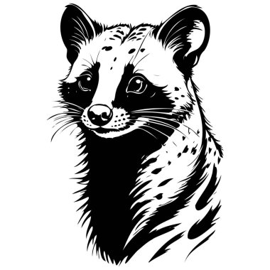 Klasik Afrika misk kedisi portresi çizimi, saydam arka plan.