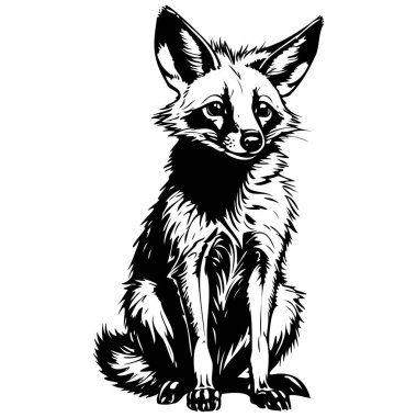 Aardwolf sitting ink hand drawn animal illustration, transparent background clipart