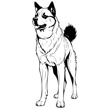 Akita, yanlamasına duran yaban hayvanı oyması, monokrom.