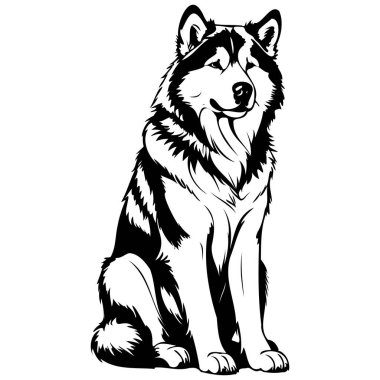 Alaska 'da oturan Malamute resmi, siyah siluet hayvan vektörü, izole edilmiş hayvan