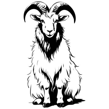 Angora Keçisi oturuyor, hayvan kafası, çizgi çizimi siyah gerçekçi çizimler