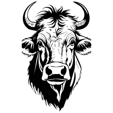 Aurochs portresi, klasik hayvan çizimi, vektör resmi