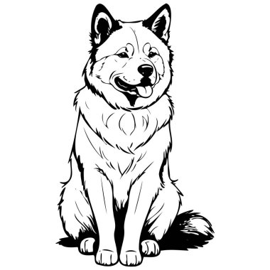 Siyah Akita izole edilmiş el çizimi, saydam arka plan.