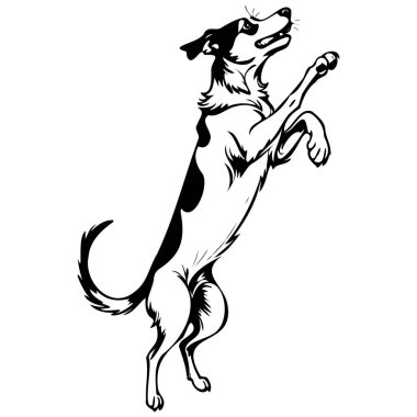 Ink Appenzeller Köpek, tek renkli, vahşi bir hayvanın oyma resmini çizer.