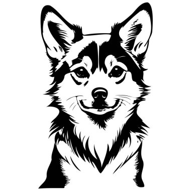 İzole edilmiş Alaska Klee Kai tek renkli el çizimi, şeffaf arka plan.