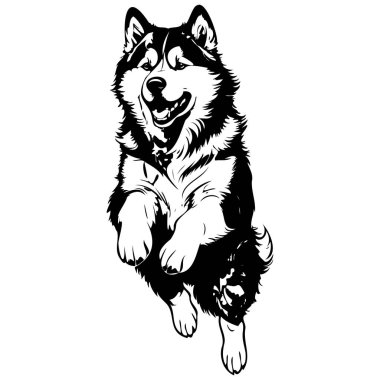 Gerçekçi Alaska Malamute çizimleri, hayvan kafası, çizgi çizimleri siyah gerçekçi çizimler