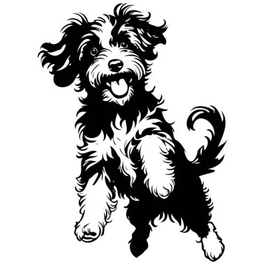 Monochrome Aussiedoodle jumps engraving drawing of wild animal, monochrome clipart
