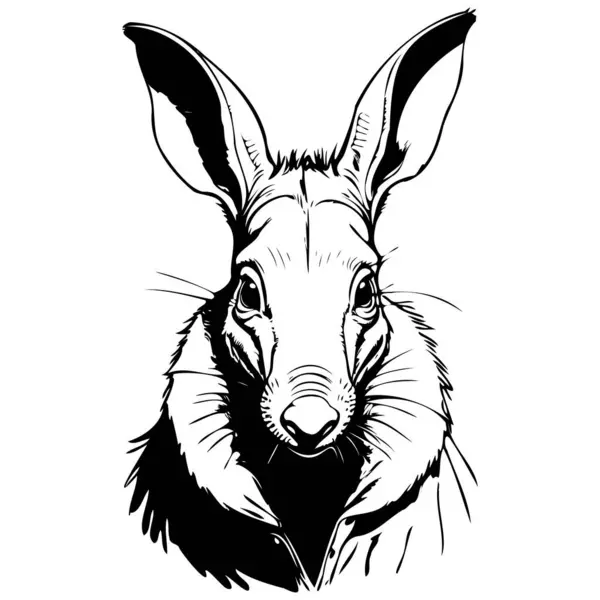 Портрет Aardvark Монохромным Рисунком Животного Прозрачный Фон Стоковая Иллюстрация