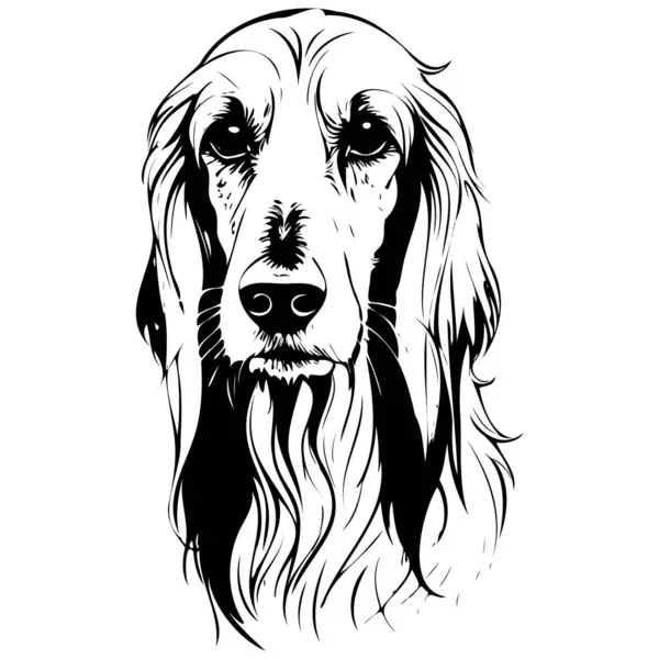 Портрет Афганской Собаки Векторный Реалистичный Очертания Животного Силуэта Прозрачный Фон Стоковая Иллюстрация