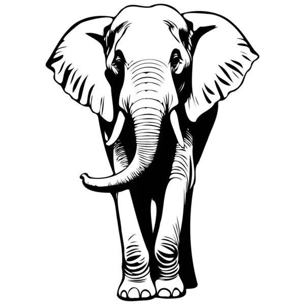 Рисунок Портрета Азиатского Слона Набросок Мультяшного Животного Силуэт Векторной Гравировки Стоковая Иллюстрация