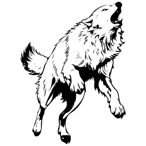Grawerowanie Arctic Wolf Skacze Rysunek Głowa Zwierzęcia Linia Sztuki Czarny Grafika Wektorowa