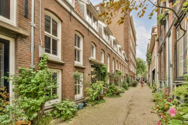 View of street near building with beauty of vegitation outside